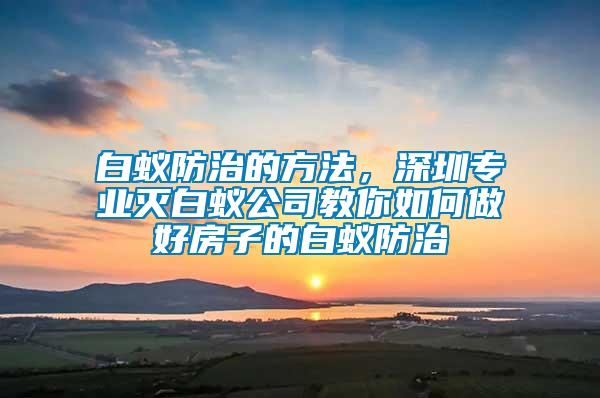 白蟻防治的方法,深圳專業(yè)滅白蟻公司教你如何做好房子的白蟻防治