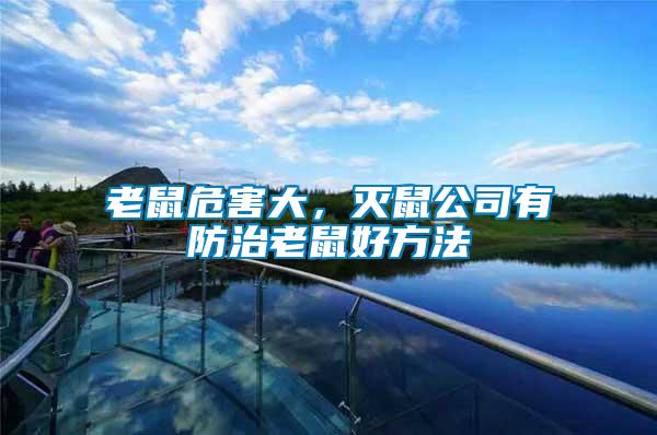 老鼠危害大,滅鼠公司有防治老鼠好方法