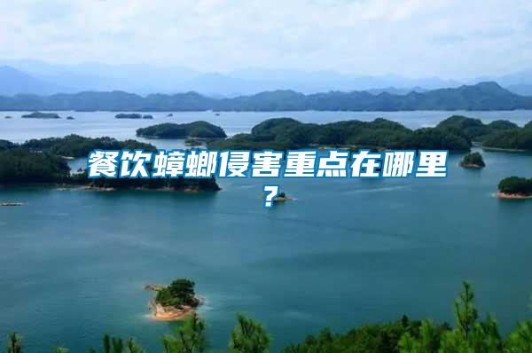 餐飲蟑螂侵害重點(diǎn)在哪里?