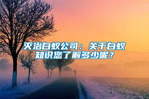 滅治白蟻公司：關(guān)于白蟻知識(shí)您了解多少呢？