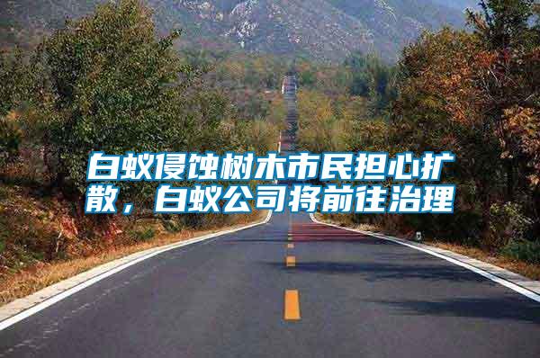 白蟻侵蝕樹木市民擔心擴散,白蟻公司將前往治理