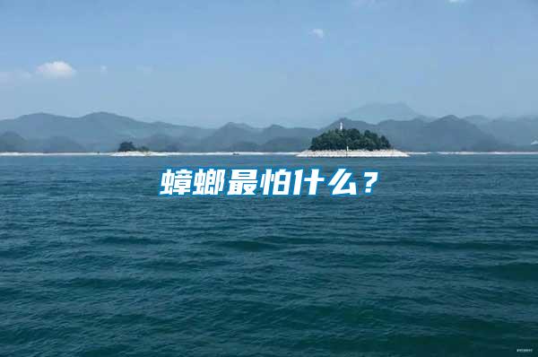 蟑螂最怕什么？