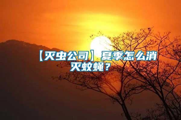 【滅蟲(chóng)公司】夏季怎么消滅蚊蠅？