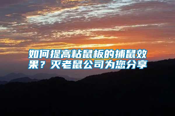 如何提高粘鼠板的捕鼠效果？滅老鼠公司為您分享