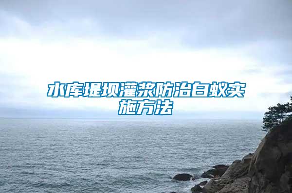 水庫堤壩灌漿防治白蟻實施方法