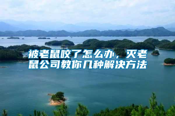 被老鼠咬了怎么辦，滅老鼠公司教你幾種解決方法