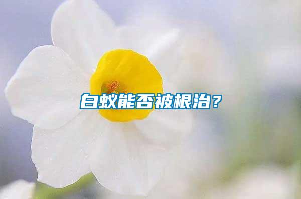 白蟻能否被根治？