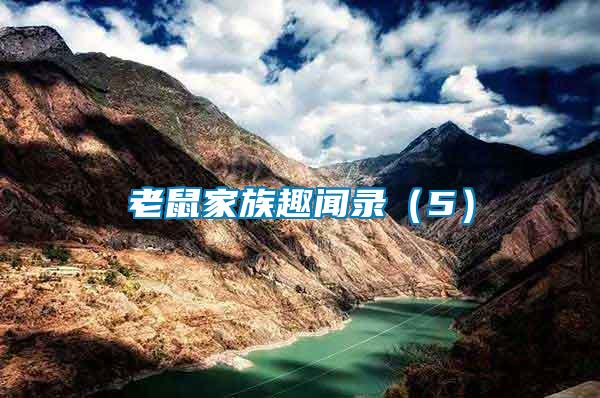 老鼠家族趣聞錄(5)