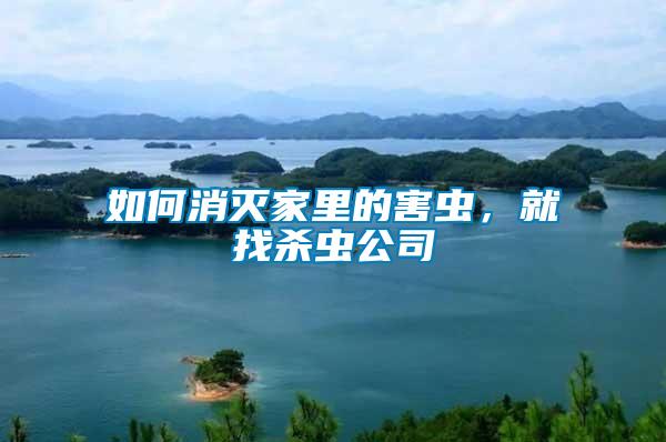 如何消滅家里的害蟲，就找殺蟲公司