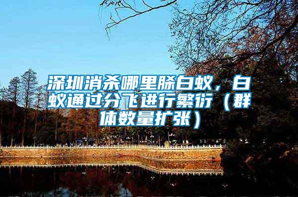 深圳消殺哪里脎白蟻，白蟻通過分飛進行繁衍（群體數量擴張）