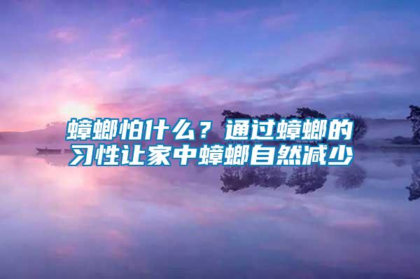 蟑螂怕什么?通過蟑螂的習性讓家中蟑螂自然減少