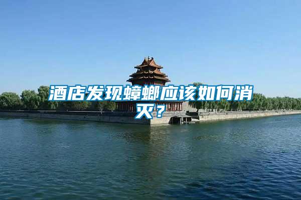 酒店發現蟑螂應該如何消滅？