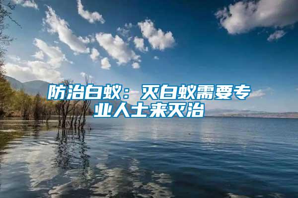 防治白蟻:滅白蟻需要專業(yè)人士來滅治