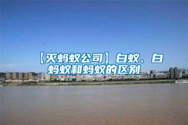 【滅螞蟻公司】白蟻、白螞蟻和螞蟻的區(qū)別