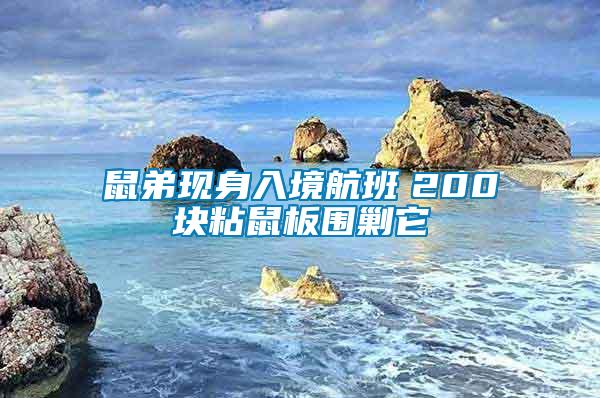 鼠弟現(xiàn)身入境航班 200塊粘鼠板圍剿它
