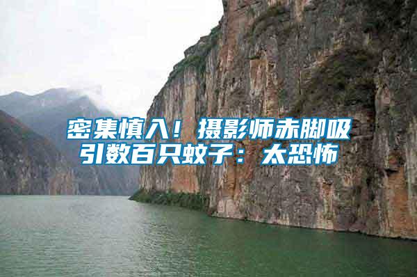 密集慎入!攝影師赤腳吸引數(shù)百只蚊子:太恐怖