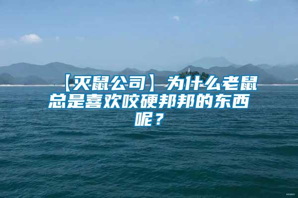 【滅鼠公司】為什么老鼠總是喜歡咬硬邦邦的東西呢?