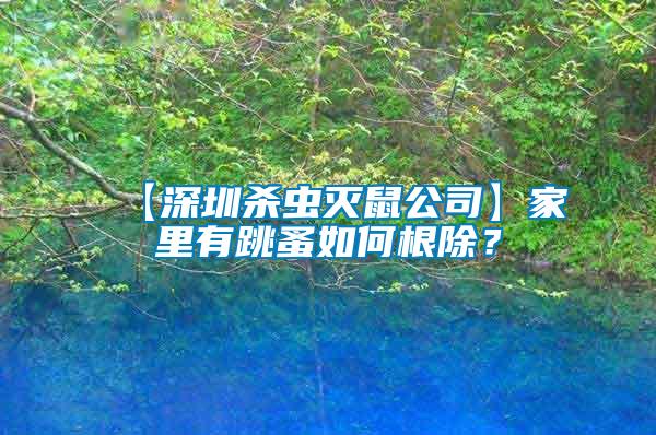 【深圳殺蟲滅鼠公司】家里有跳蚤如何根除?