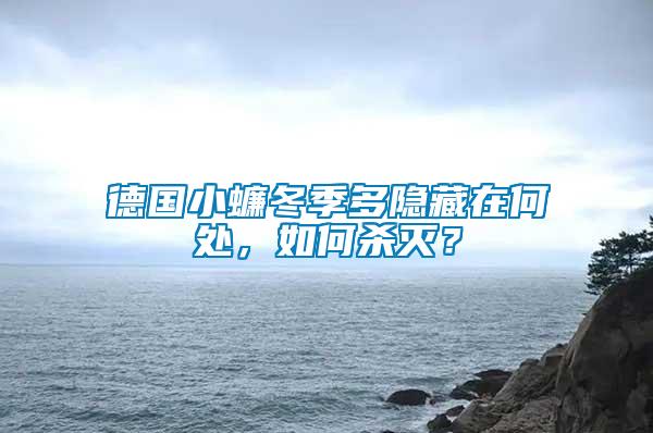 德國小蠊冬季多隱藏在何處，如何殺滅？