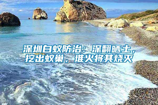 深圳白蟻防治：深翻曬土，挖出蟻巢，堆火將其燒滅