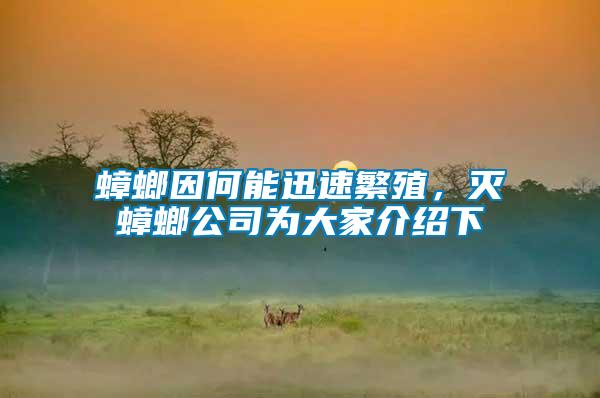 蟑螂因何能迅速繁殖,滅蟑螂公司為大家介紹下