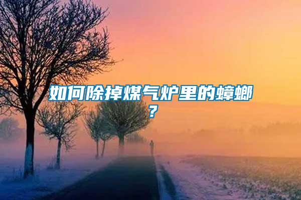 如何除掉煤氣爐里的蟑螂？