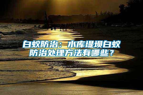 白蟻防治:水庫堤壩白蟻防治處理方法有哪些?