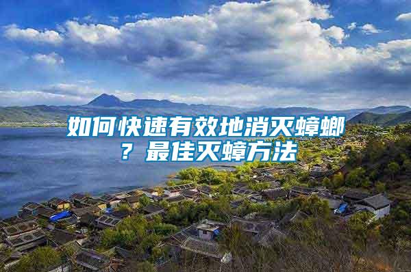 如何快速有效地消滅蟑螂?最佳滅蟑方法