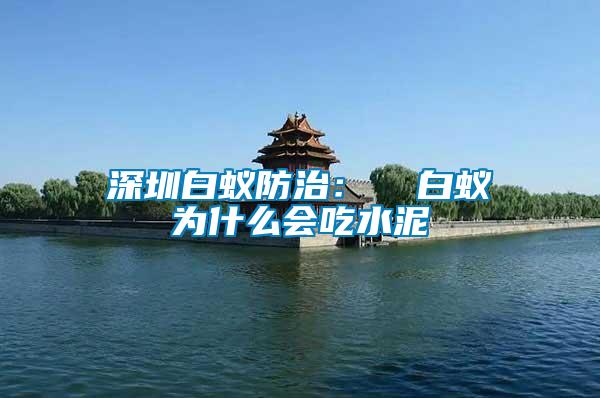 深圳白蟻防治: 白蟻為什么會吃水泥