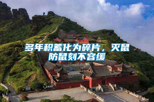 多年積蓄化為碎片，滅鼠防鼠刻不容緩