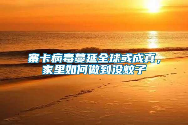 寨卡病毒蔓延全球或成真，家里如何做到沒蚊子