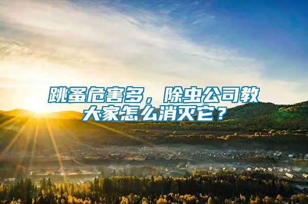 跳蚤危害多，除蟲公司教大家怎么消滅它？
