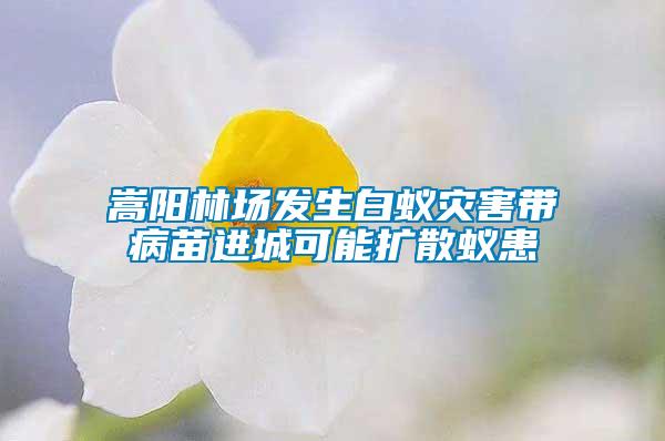 嵩陽林場發(fā)生白蟻災(zāi)害帶病苗進城可能擴散蟻患