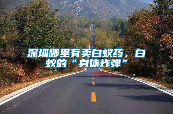 深圳哪里有賣白蟻藥,白蟻的“身體炸彈”