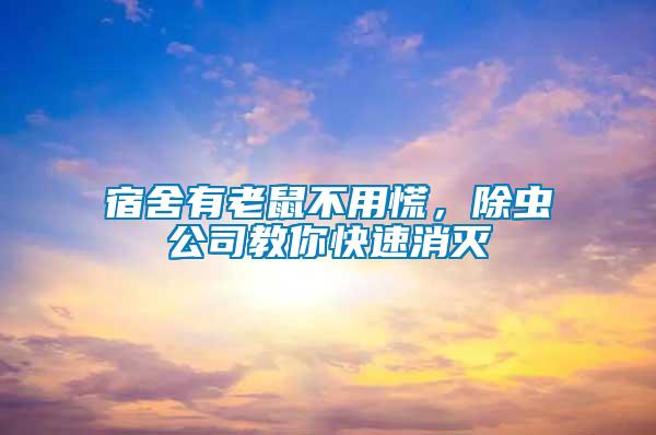 宿舍有老鼠不用慌,除蟲(chóng)公司教你快速消滅