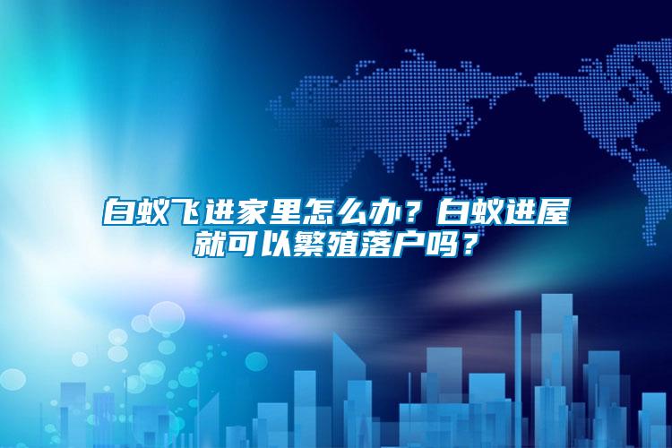 白蟻飛進家里怎么辦?白蟻進屋就可以繁殖落戶嗎?