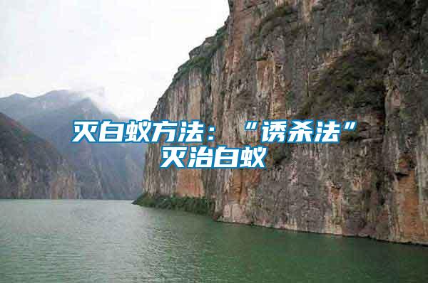 滅白蟻方法:“誘殺法”滅治白蟻