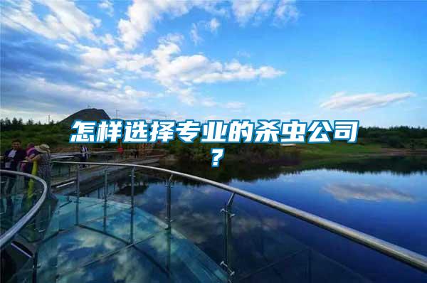 怎樣選擇專業的殺蟲公司?