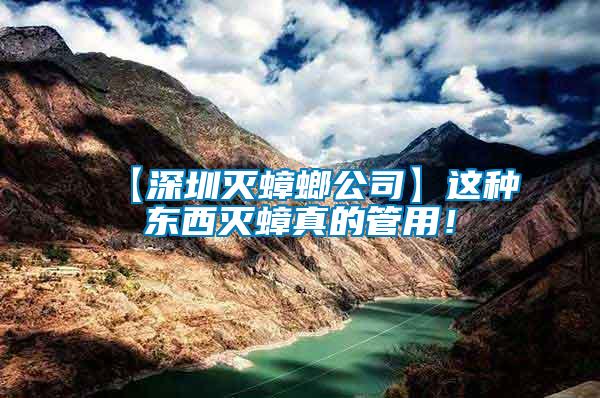 【深圳滅蟑螂公司】這種東西滅蟑真的管用!