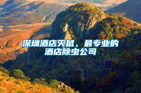 深圳酒店滅鼠，最專業(yè)的酒店除蟲公司