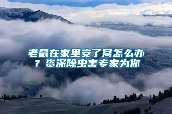 老鼠在家里安了窩怎么辦?資深除蟲害專家為你