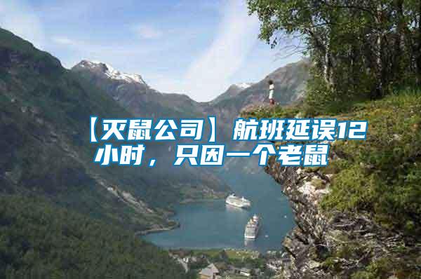 【滅鼠公司】航班延誤12小時(shí)，只因一個(gè)老鼠