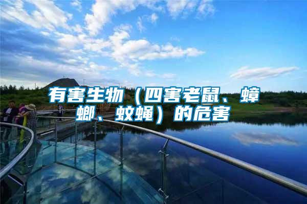 有害生物（四害老鼠、蟑螂、蚊蠅）的危害