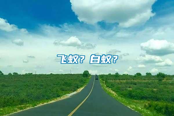 飛蟻?白蟻?