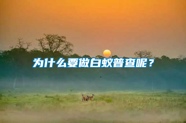 為什么要做白蟻普查呢?