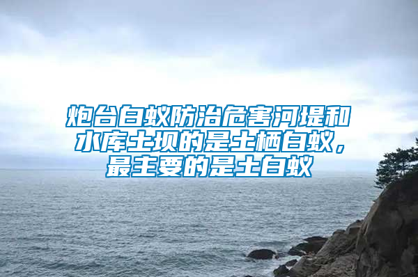 炮臺白蟻防治危害河堤和水庫土壩的是土棲白蟻，最主要的是土白蟻