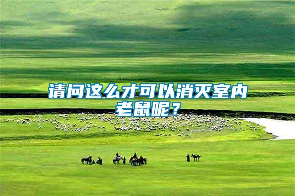 請問這么才可以消滅室內老鼠呢？