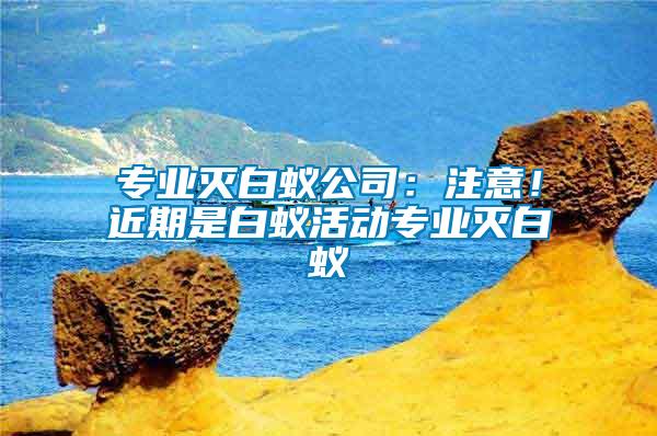 專業滅白蟻公司：注意！近期是白蟻活動專業滅白蟻