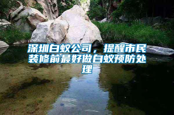 深圳白蟻公司，提醒市民裝修前最好做白蟻預防處理