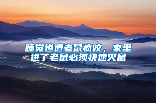 睡覺慘遭老鼠瘋咬,家里進了老鼠必須快速滅鼠